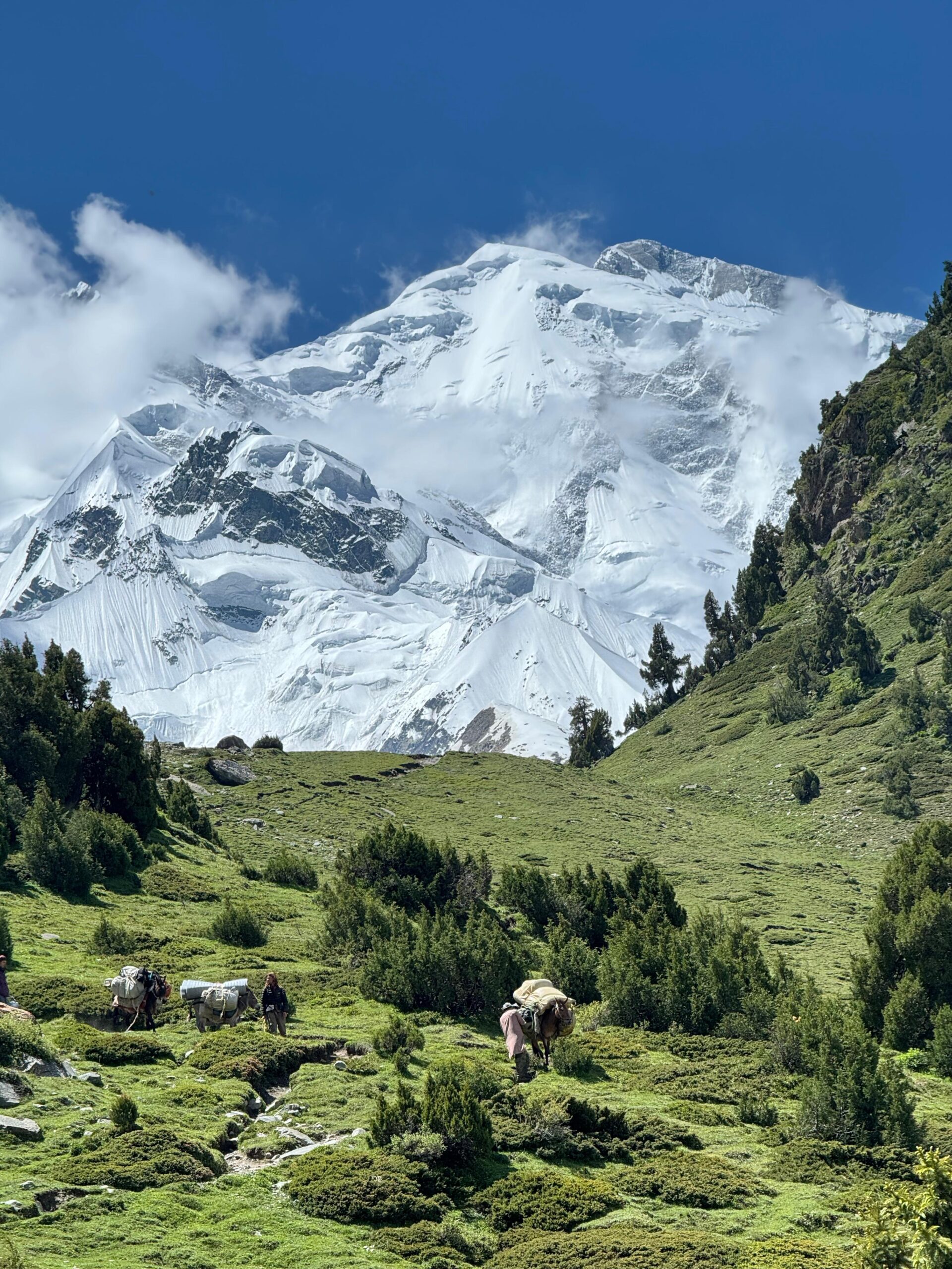 WhatsApp Image 2025-08-14 at 4.10.48 PM